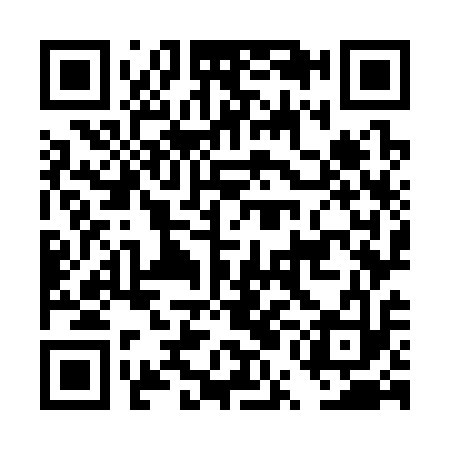 QR code for DUO313