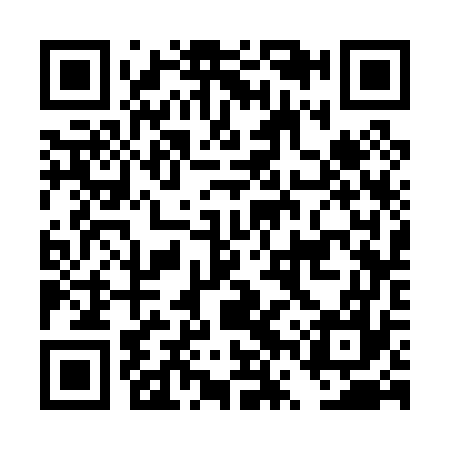 QR code for DVS077