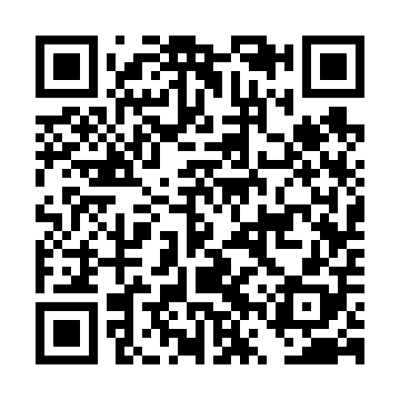 QR code for DVS608