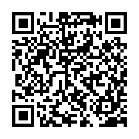 QR code for DWY294
