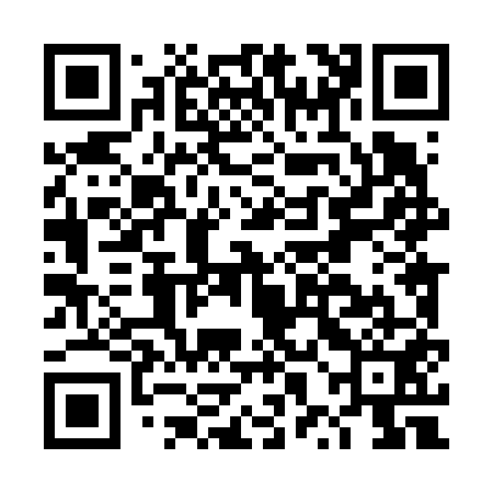 QR code for DXL651