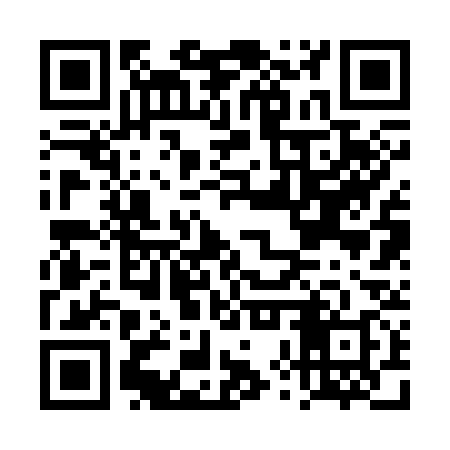 QR code for DXR338