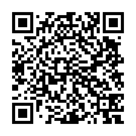 QR code for DXR438