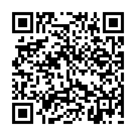 QR code for DYE332