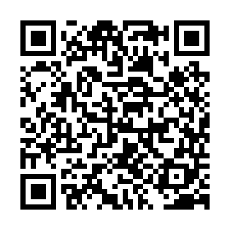 QR code for DYI248