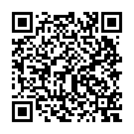 QR code for DYI611