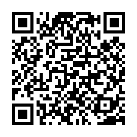 QR code for DYK439