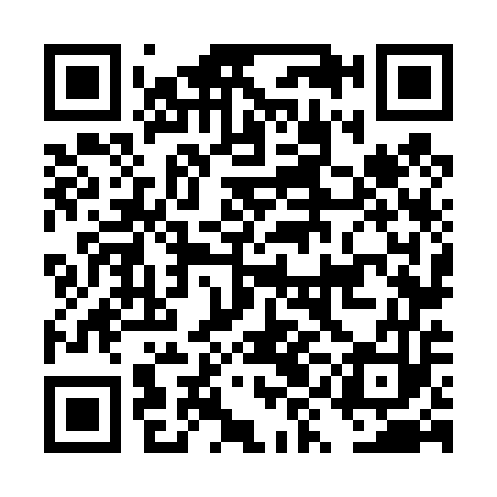 QR code for DYN453