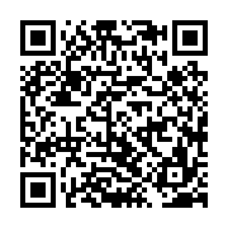 QR code for DYX236