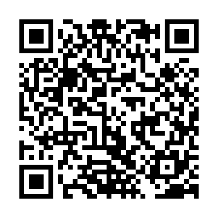 QR code for DYY875