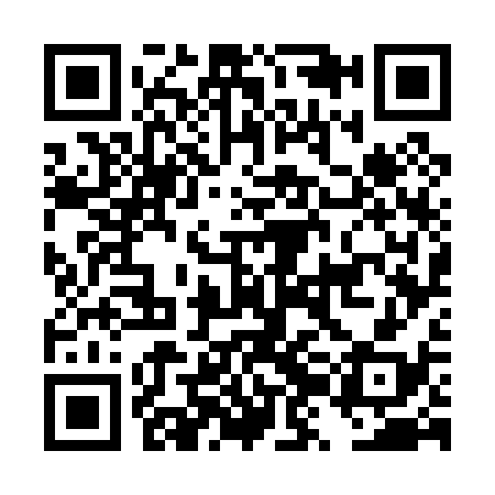 QR code for DZG038