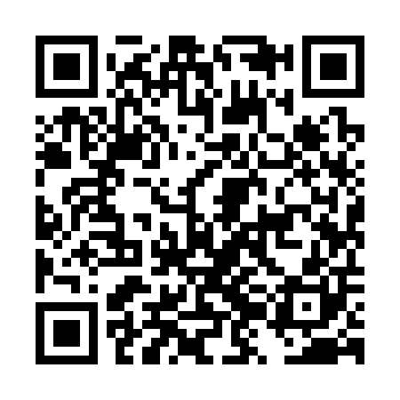 QR code for DZI300