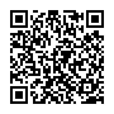 QR code for DZI635