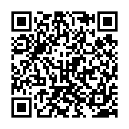 QR code for DZM617