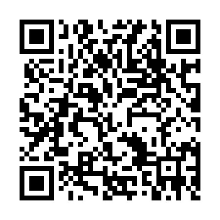QR code for DZM994