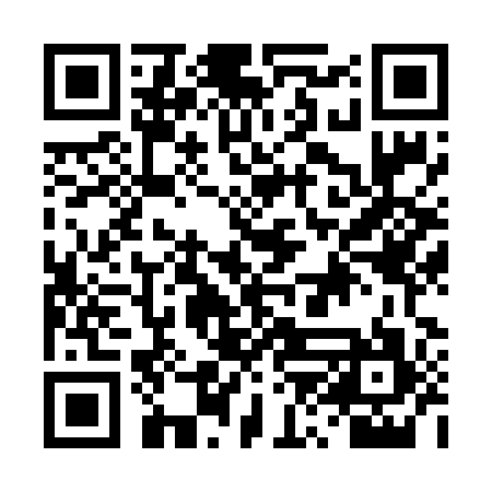 QR code for DZN697