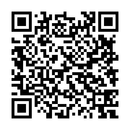 QR code for DZN838