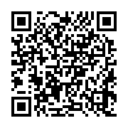 QR code for DZO378