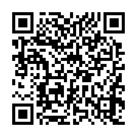 QR code for DZT378