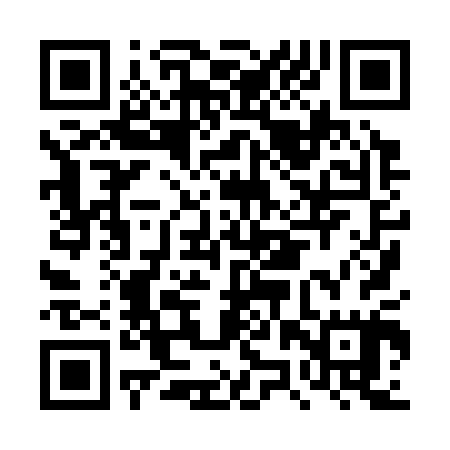 QR code for DZX305