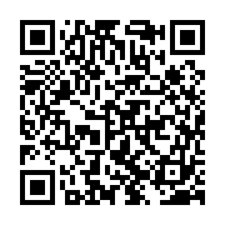 QR code for DZY173
