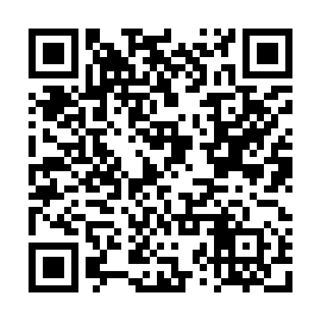 QR code for DZZ950