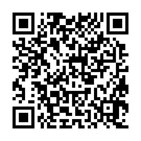 QR code for EEG386