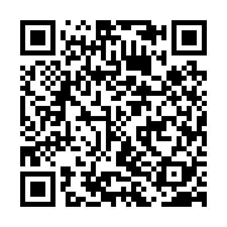 QR code for ELE229