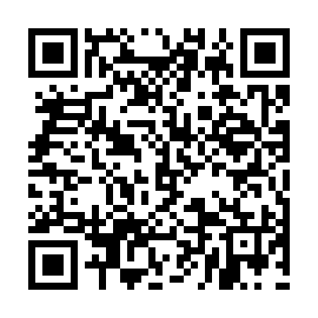 QR code for ELE395