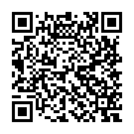 QR code for ELE955