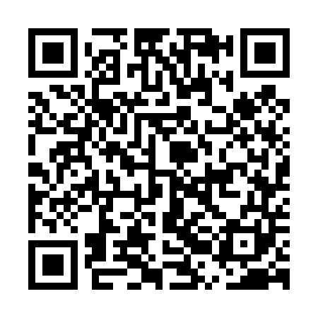 QR code for ERG441