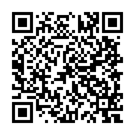 QR code for ERM595