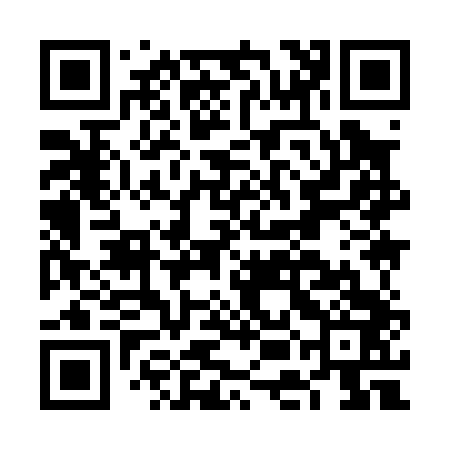 QR code for FEI043