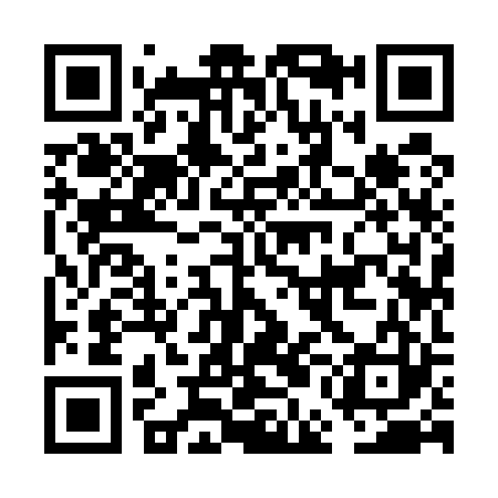 QR code for FEI523
