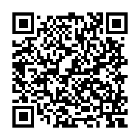 QR code for FEI585