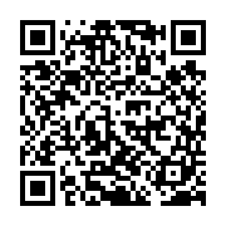 QR code for FEI641