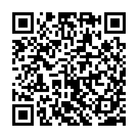 QR code for FFY381