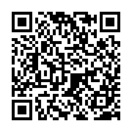 QR code for FGS382