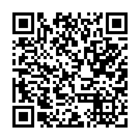 QR code for FID489