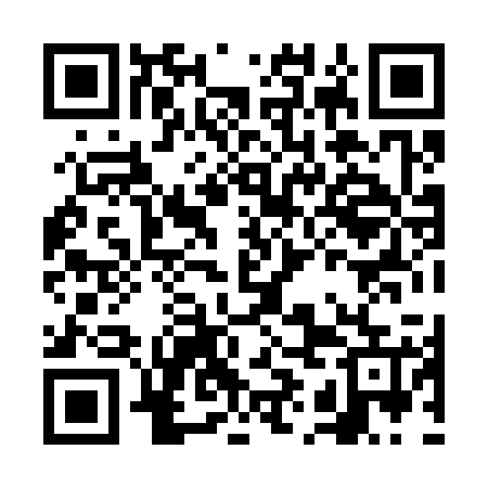 QR code for FIH325