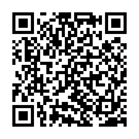 QR code for FJG533
