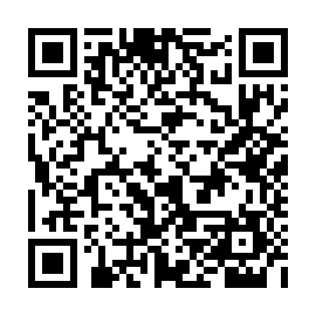 QR code for FJS787