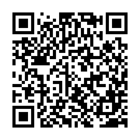 QR code for FKU386