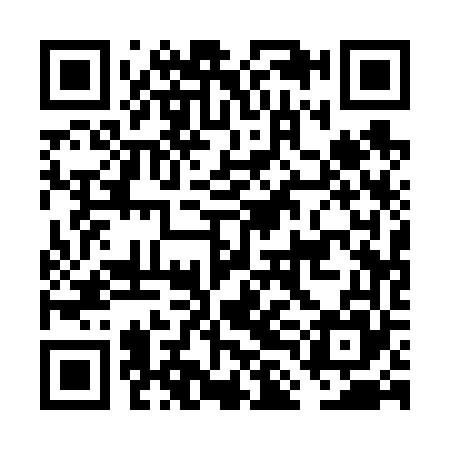 QR code for FLA665