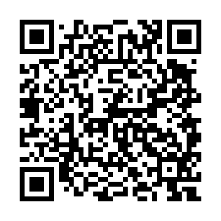 QR code for FLV496