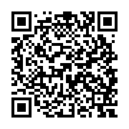 QR code for FNV383