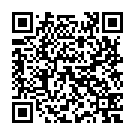QR code for FPS939
