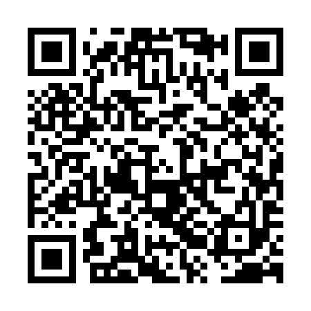 QR code for FRE493