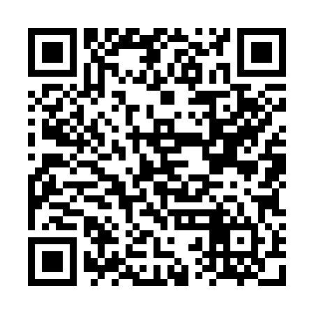 QR code for FRO384