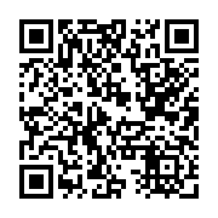 QR code for FSP383